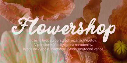 Charming Letters Font Poster 4