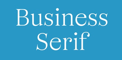 Business Serif Font Poster 1