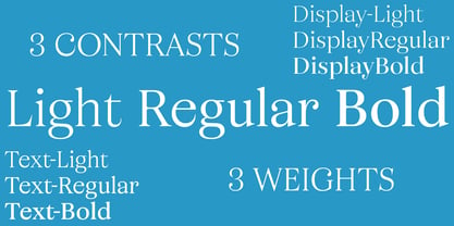 Business Serif Font Poster 2