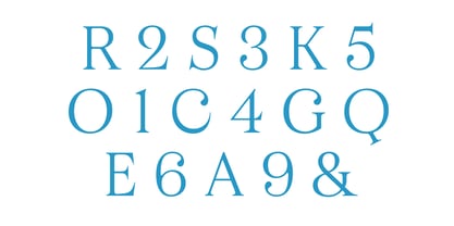 Business Serif Font Poster 8