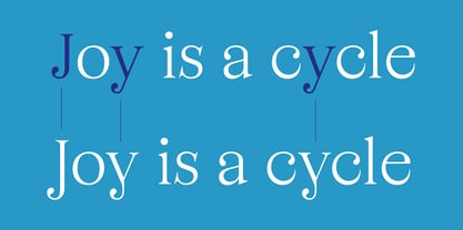 Business Serif Font Poster 9