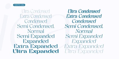 Anglica Font Poster 6