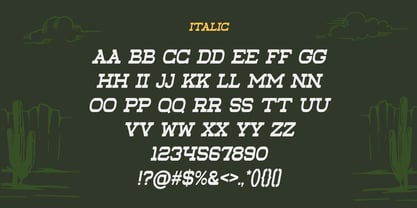 West Wasteland Font Poster 5