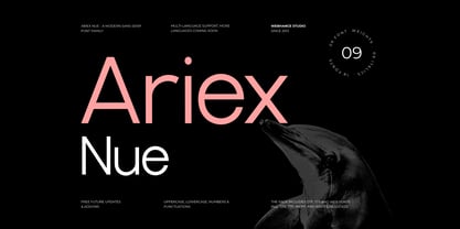 Ariex Nue Font Poster 1