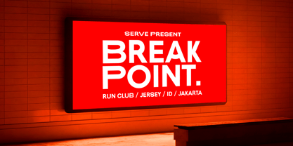 Pace Form Font Poster 10