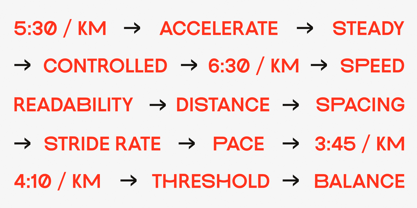 Pace Form Font Poster 11