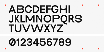 Pace Form Font Poster 5