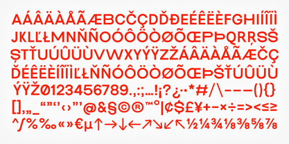 Pace Form Font Poster 8