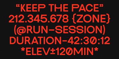 Pace Form Font Poster 12