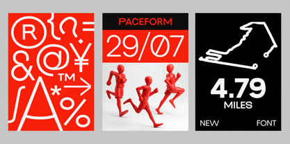 Pace Form Font Poster 6