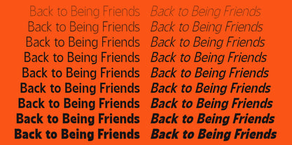 Shansio Font Poster 5