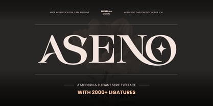 Aseno Modern Font Poster 1