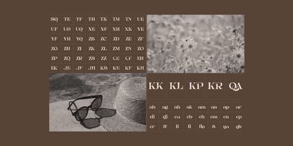 Aseno Modern Font Poster 14