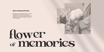 Aseno Modern Font Poster 3