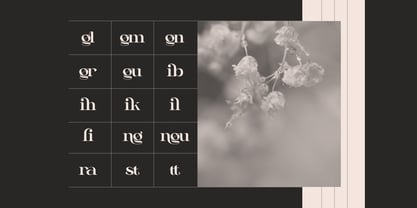 Aseno Modern Font Poster 15