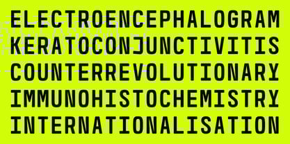 GR Marg Mono Font Poster 4