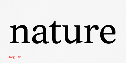 Textworthy Serif Font Poster 4