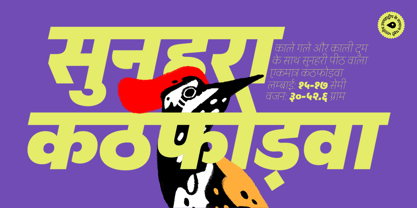 Peridot Devanagari Font Poster 11