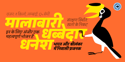 Peridot Devanagari Font Poster 12