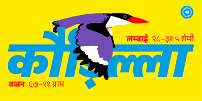 Peridot Devanagari Font Poster 7