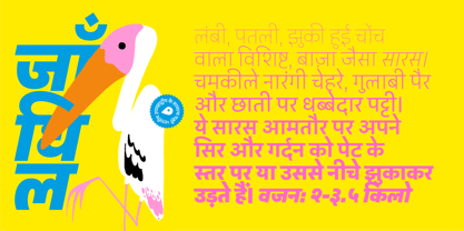 Peridot Devanagari Font Poster 8