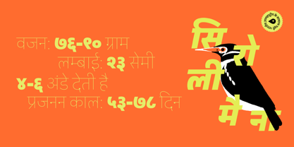 Peridot Devanagari Font Poster 9