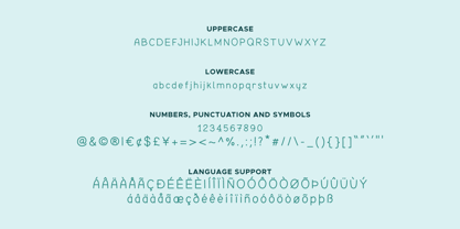 Tortoise Font Poster 2