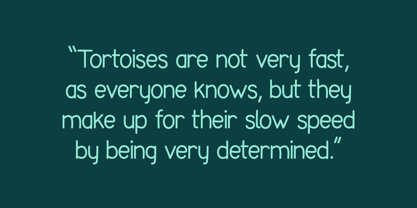 Tortoise Font Poster 10