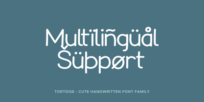 Tortoise Font Poster 6