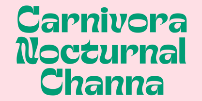 Chuten Font Poster 3