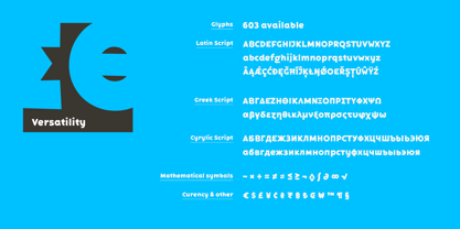 Bakerman Sans Font Poster 8