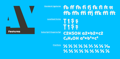 Bakerman Sans Font Poster 9