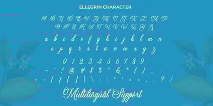 Ellegrin Script Font Poster 8