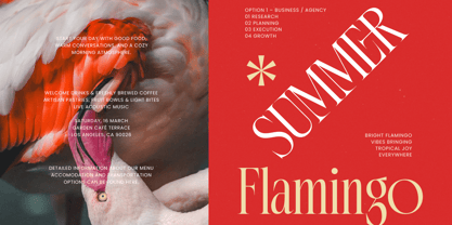 Gradneght Font Poster 7