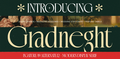 Gradneght Font Poster 1