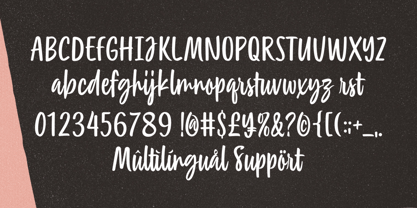 Peachlona Script Font Poster 9