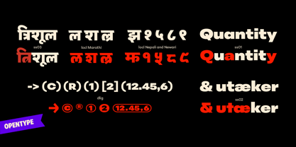 Peridot Devanagari Font Poster 4
