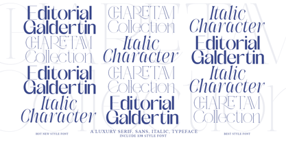 Galdertin Charetam Font Poster 6