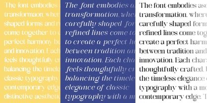 Galdertin Charetam Font Poster 11