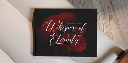 Rosething Font Poster 5