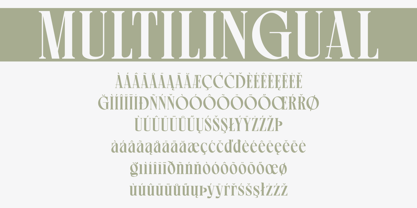 Pherome Font Poster 10