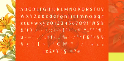 Cranio Font Poster 5