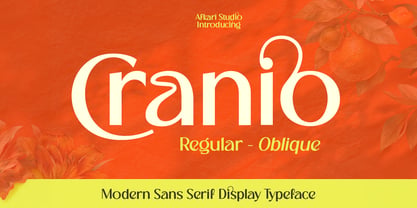 Cranio Font Poster 1