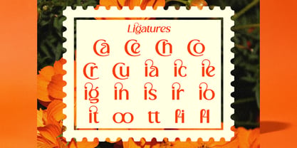 Cranio Font Poster 8