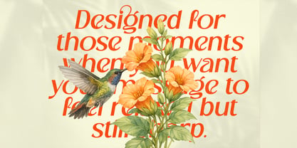 Cranio Font Poster 9