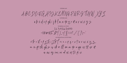 Bloating Signature Font Poster 9