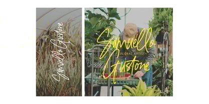 Bloating Signature Font Poster 2