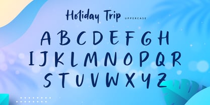 Holiday Trip Font Poster 9