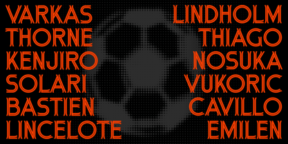 Hayatica Font Poster 5