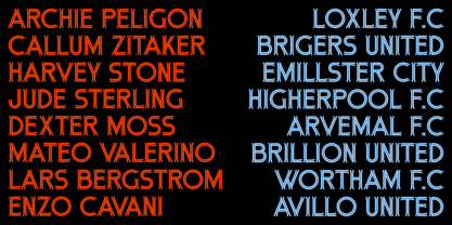 Hayatica Font Poster 9